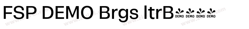 FSP DEMO Brgs ltrB字体转换 FSP DEMO Brgs ltrB字体转换
